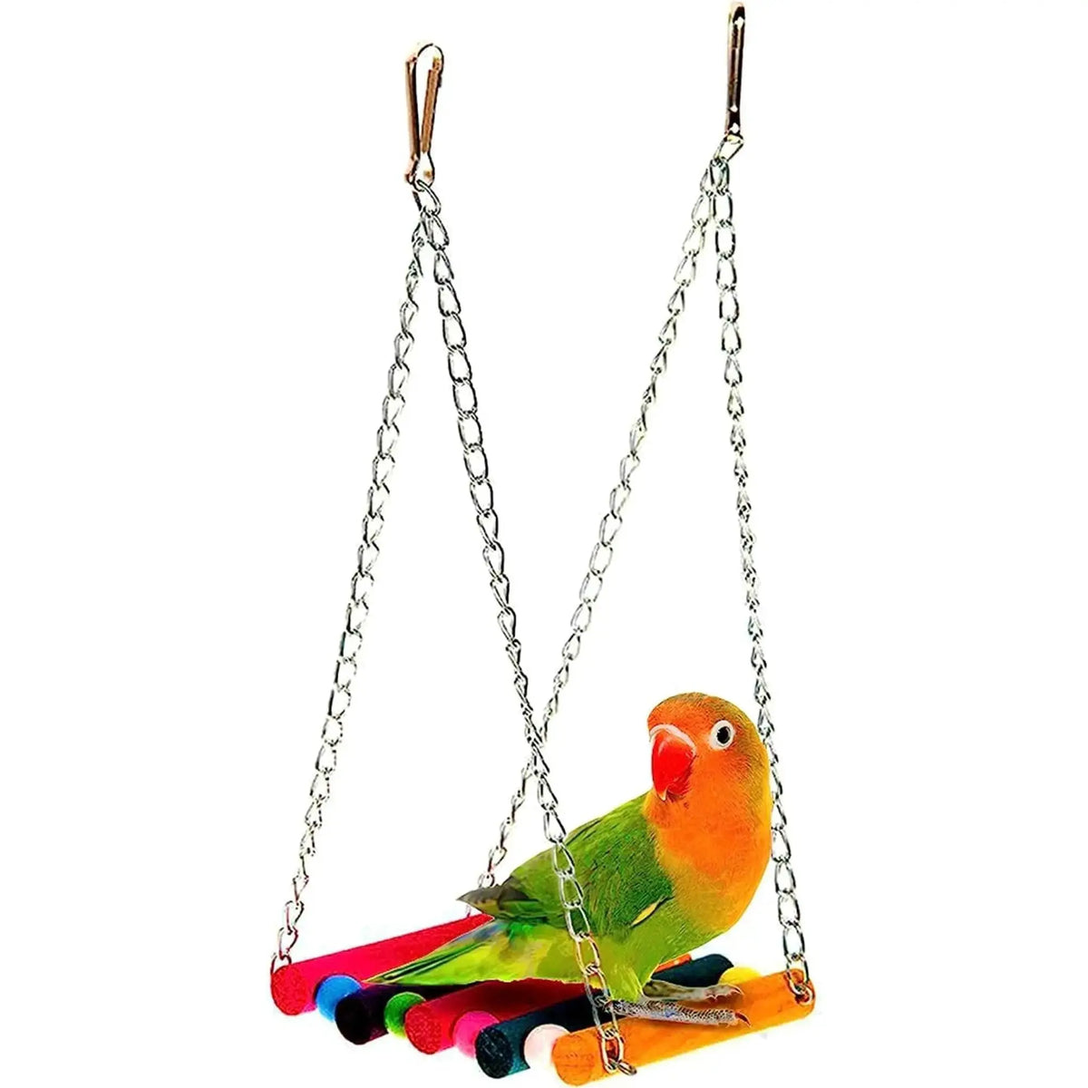SunGrow Bird Swing and Fun Bundle, Keep Birds from Hatching Plans for World Domination with Joyful Colorful Items for Love Birds, Conures, Cockatiels, Finches, and Parakeets - FurrBaby Necessities