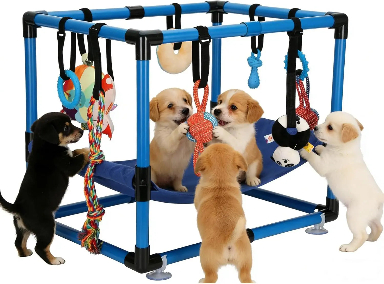 Indoor Puppy Play Gym with Hammock 8 Toys Dog Enrichment Activity Center Wags & Whiskers Pet Supply