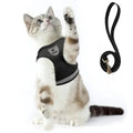 Supet Cat and Small Dog Harness Set - Soft Mesh Adjustable Cat Vest with Reflective Strap for Kitten, Puppy, Rabbit by Supet