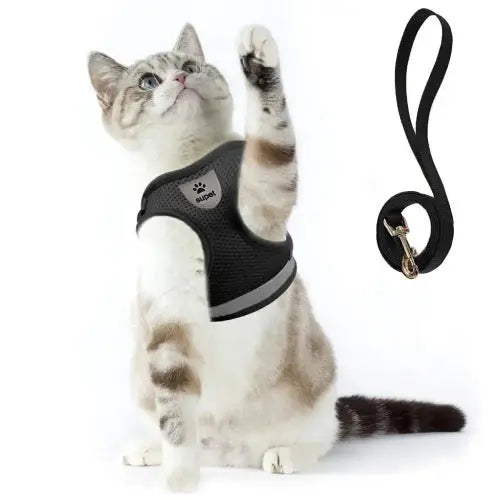 Supet Cat and Small Dog Harness Set - Soft Mesh Adjustable Cat Vest with Reflective Strap for Kitten, Puppy, Rabbit by Supet