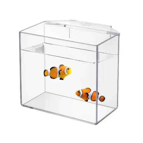 IOAOI Drip Acclimation Container for Fish & Corals – Hanging Acclimation Box for Saltwater & Freshwater Aquariums by IOAOI