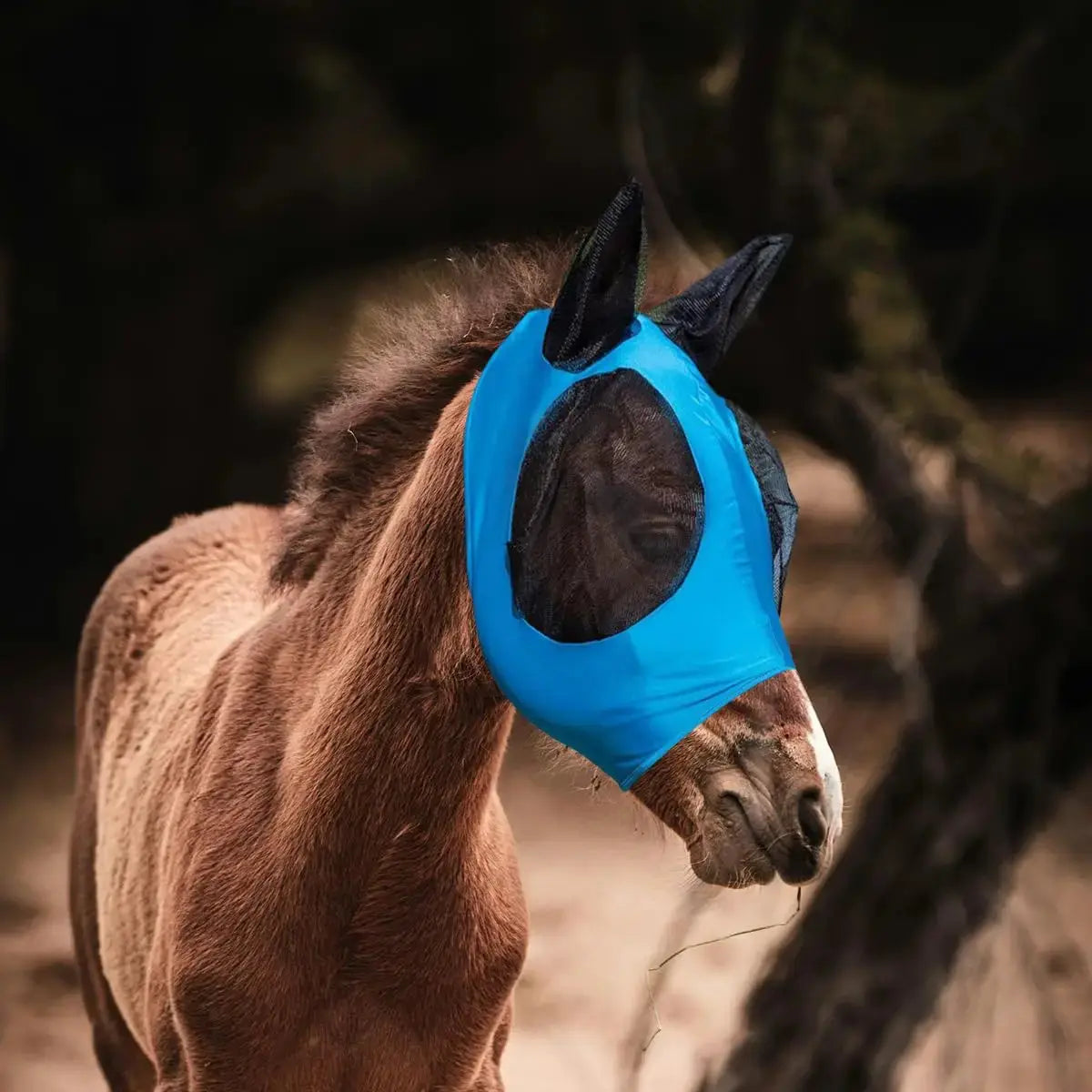 Horse Fly Mask with Ears UV Protection for Small Horses by Thinslimer