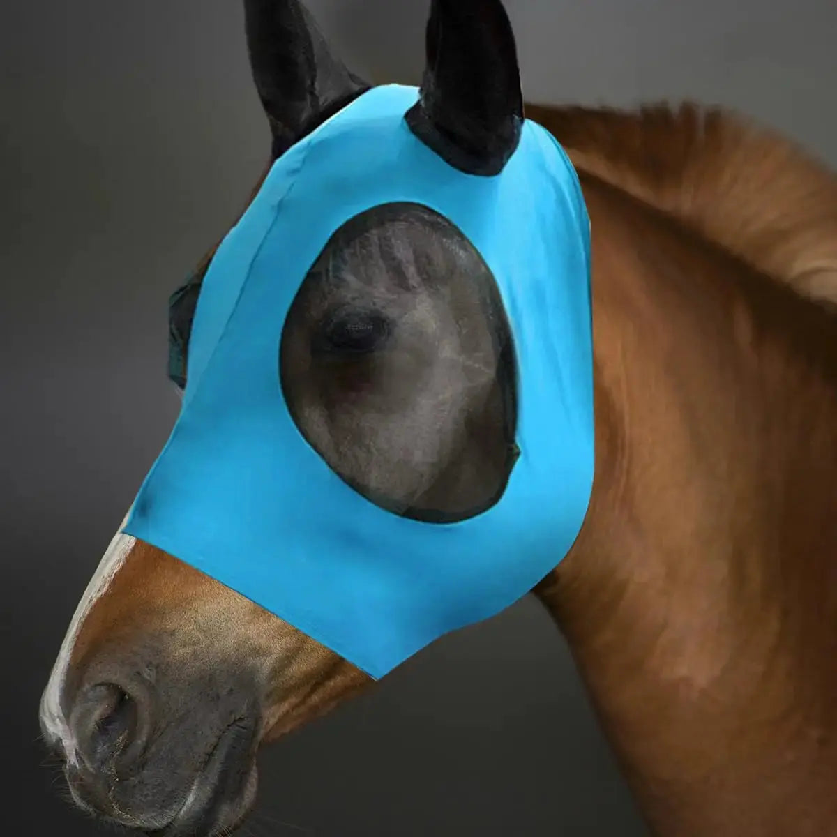 Horse Fly Mask with Ears UV Protection for Small Horses by Thinslimer