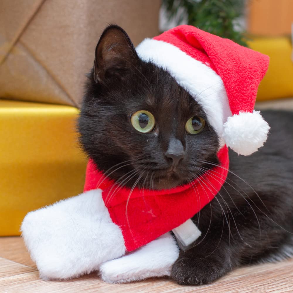 YUJUN 2PCS Cat Christmas Costume Christmas Pet Santa Hat with Scarf Outfit for Puppy Kitten Christmas Party Costume Supplies