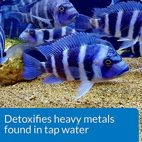 API TAP Water Conditioner Aquarium Water Conditioner by API