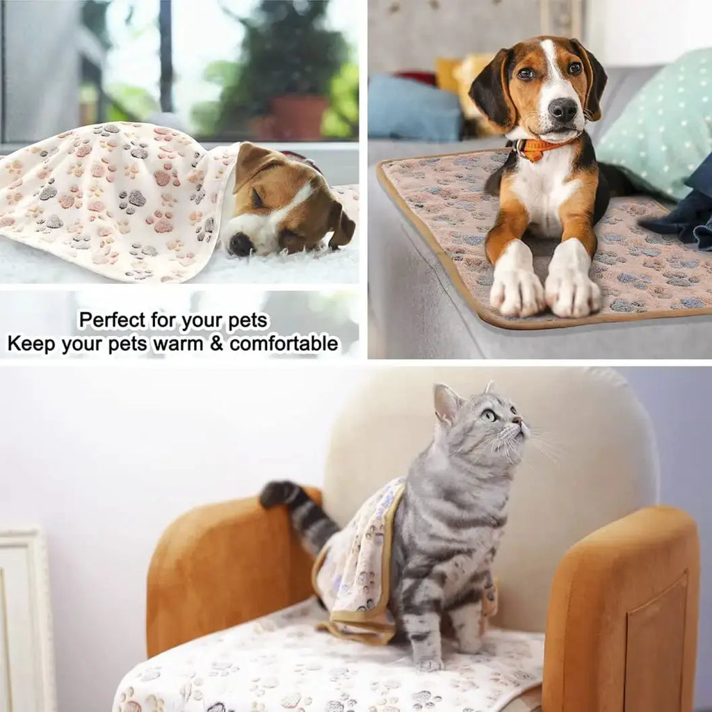 3 Pack Cat and Dog Blanket Soft & Warm Fleece Flannel Pet Blanket, by MIWOPET