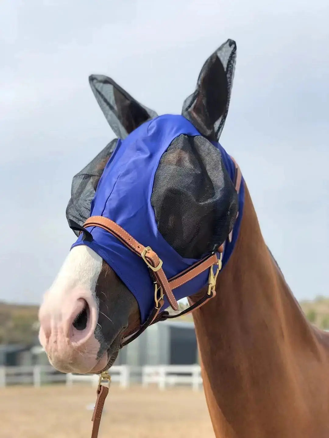 Horse Fly Mask Super Comfort Horse Fly Mask Elasticity Fly Mask with Ears We Only Make Products that Horses Like… by TGW RIDING