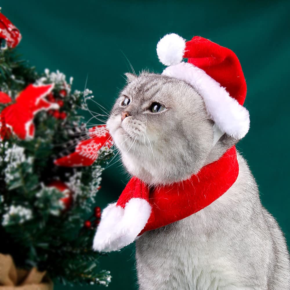 YUJUN 2PCS Cat Christmas Costume Christmas Pet Santa Hat with Scarf Outfit for Puppy Kitten Christmas Party Costume Supplies