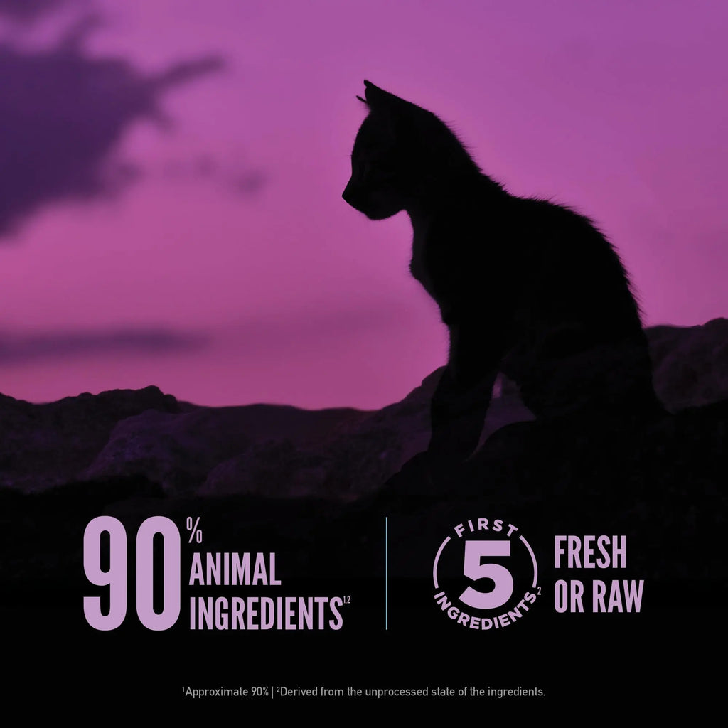 ORIJEN Premium Wet Cat Food for Kittens - FurrBaby Necessities