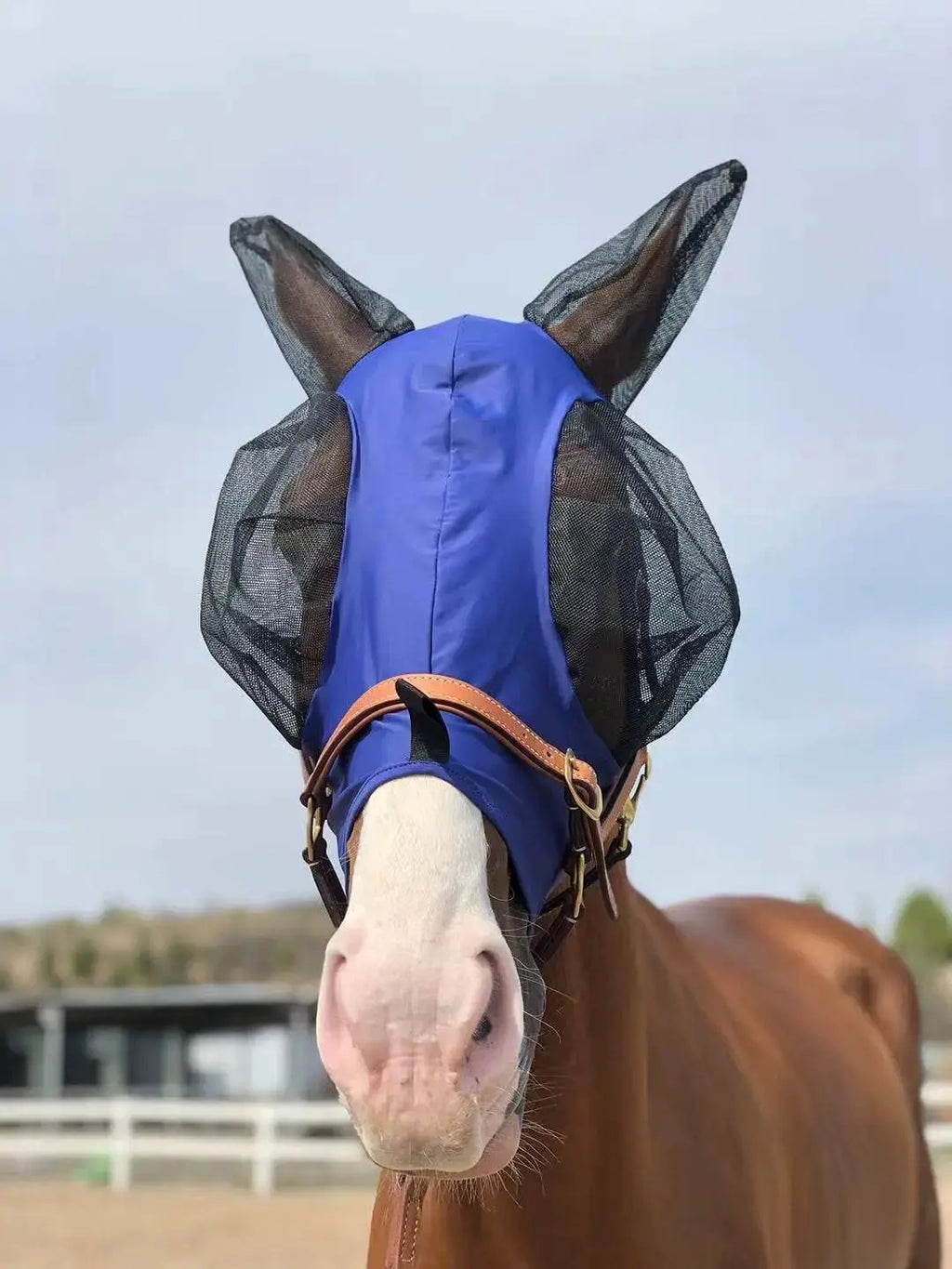 Horse Fly Mask Super Comfort Horse Fly Mask Elasticity Fly Mask with Ears We Only Make Products that Horses Like… by TGW RIDING