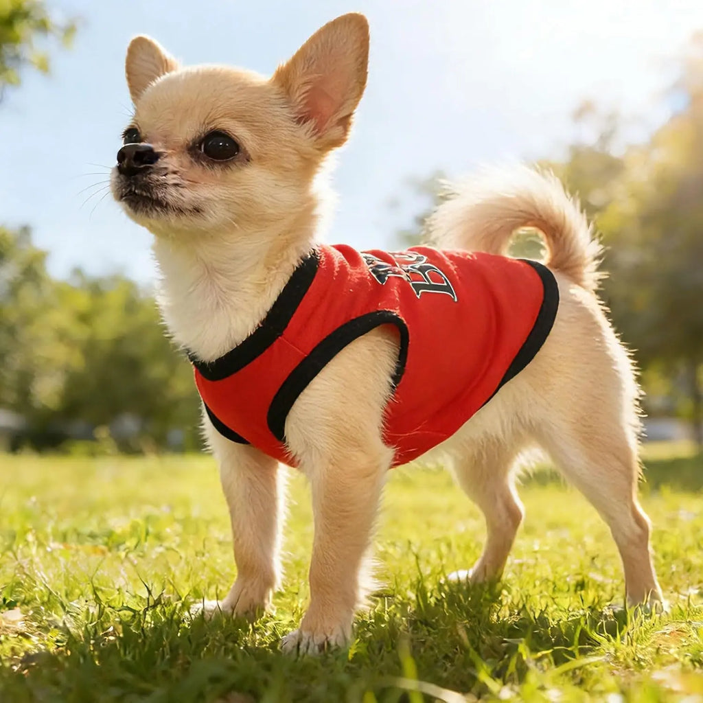 Small Dog Shirts — Cute Puppy Clothes for Chihuahua, Yorkie & Small Breeds | 4-Pack Wags & Whiskers Pet Supply