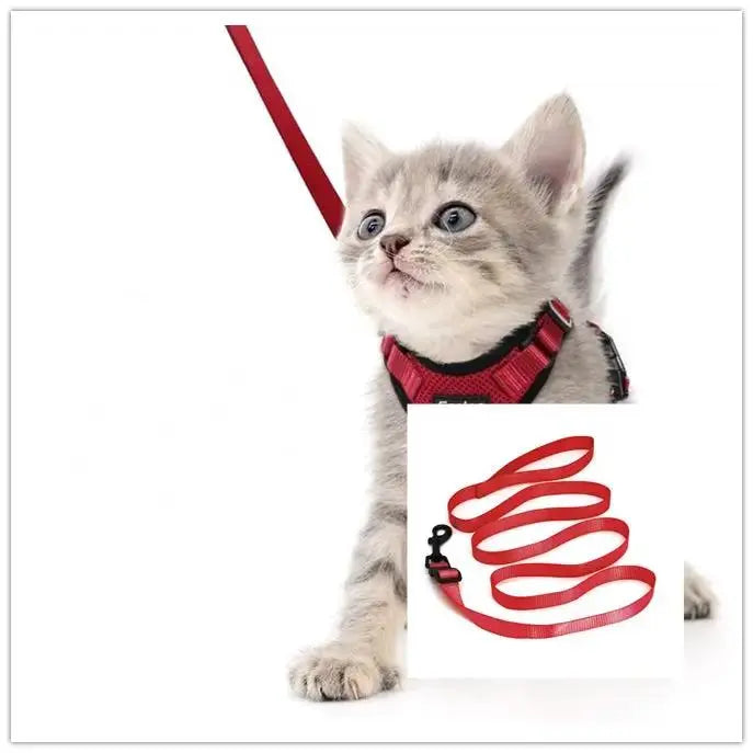 Adjustable Mesh Cat Harness Escape Proof With Car Seat Belt L - FurrBaby Necessities