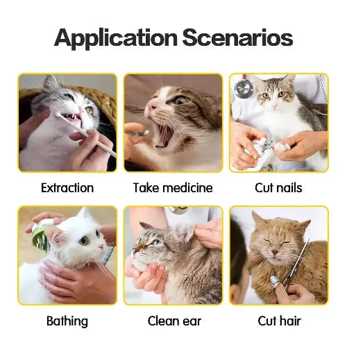 Portable Polyester Cat Travel Bag With Double Lined Scratch Protection - FurrBaby Necessities