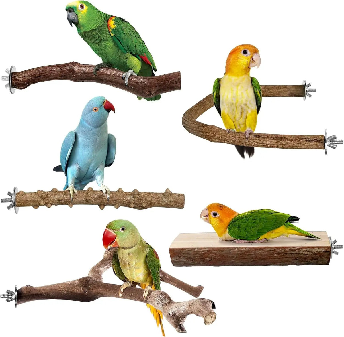 6pcs Natural Wood Bird Perches Parrot Cage Branch Stand Platform Set Small Birds by Wags & Whiskers Pet Supply