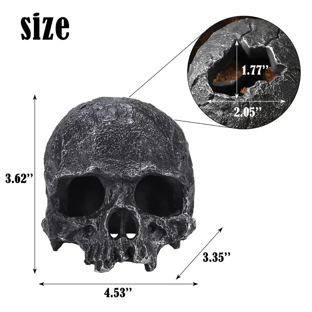 TkoYuHm Resin Reptile Hideout for Tank Realistic Skull Decor for Terrarium White Decorative Skeleton Head Hides and Caves for Fish Ball Python Axolotl Tarantula by TkoYuHm