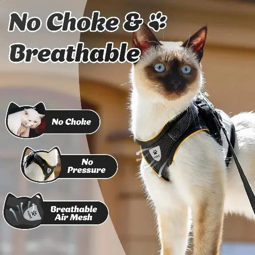 Supet Cat and Small Dog Harness Set - Soft Mesh Adjustable Cat Vest with Reflective Strap for Kitten, Puppy, Rabbit by Supet