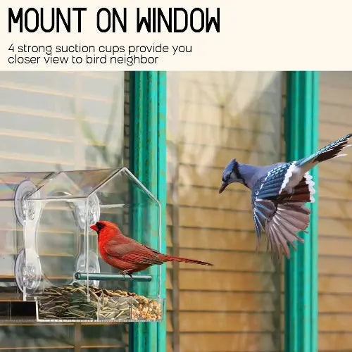 Mrcrafts Window Bird Feeder for Outside with Strong Suction Cups, Fits for Cardinals, Finches, Chickadees etc. by Mrcrafts