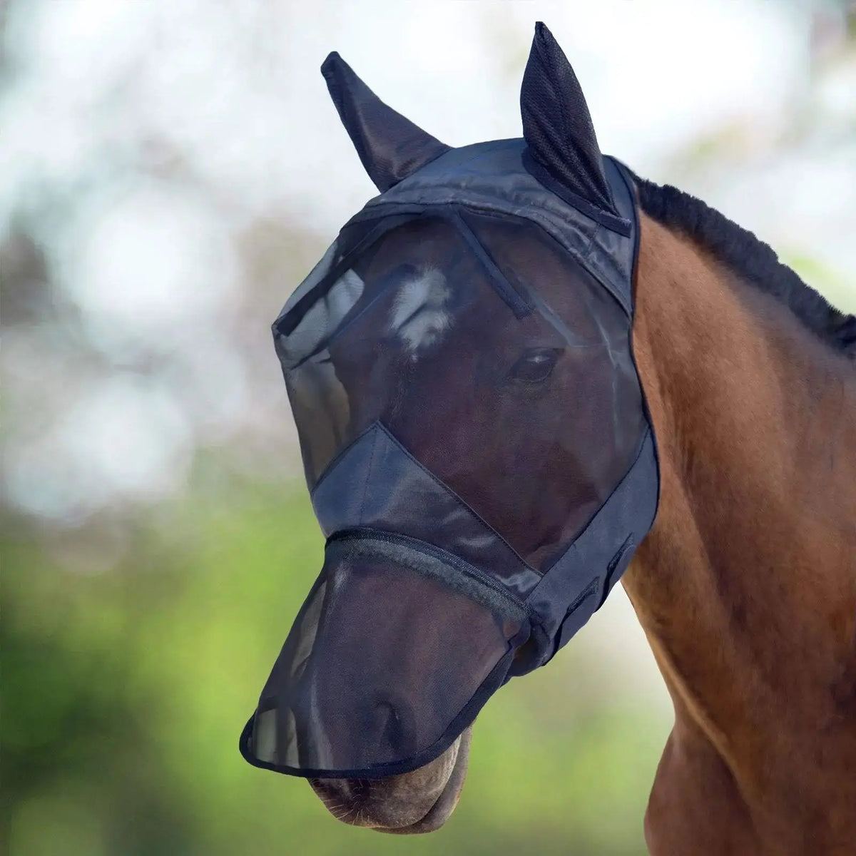 Harrison Howard CareMaster Horse Fly Mask Long Nose with Ears Full Face by Harrison Howard