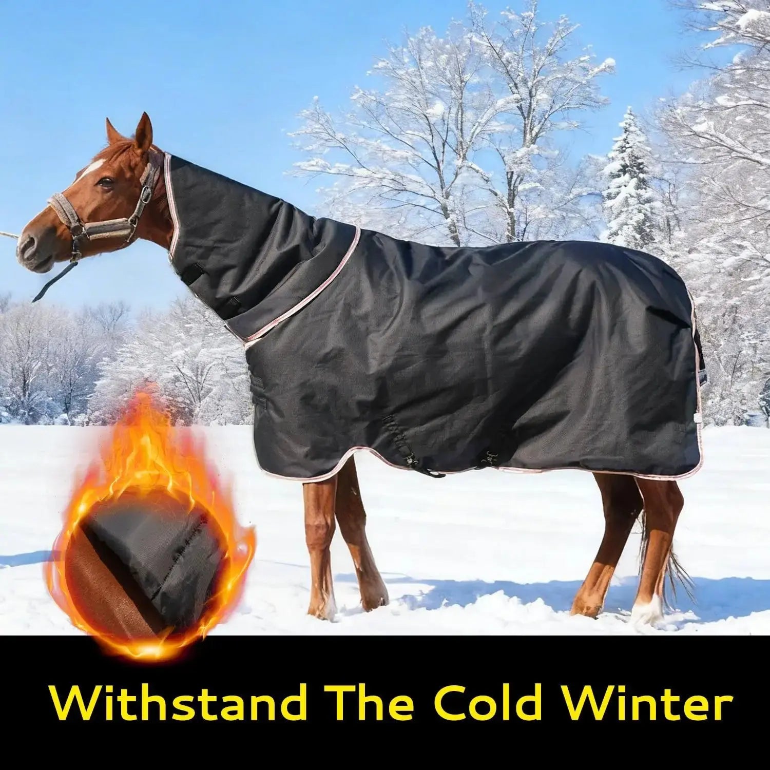 Equoray Equoray Horse Fly Sheet Waterproof Rainproof Breathable Sheet with Neck Cover, Lightweight Polyfill for Cool Weather, Perfect for Spring, Fall & Mild Winter, Black by Equoray