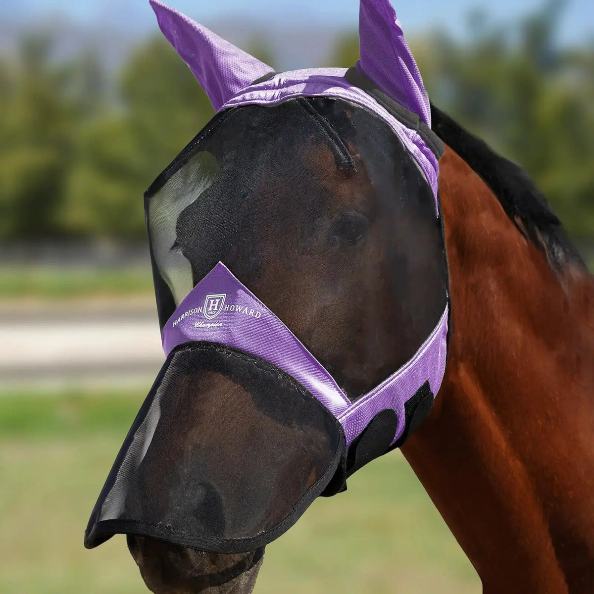 Harrison Howard Pro Luminous Horse Fly Mask Large Eye Space Full Face UV Protection for Horse by Harrison Howard