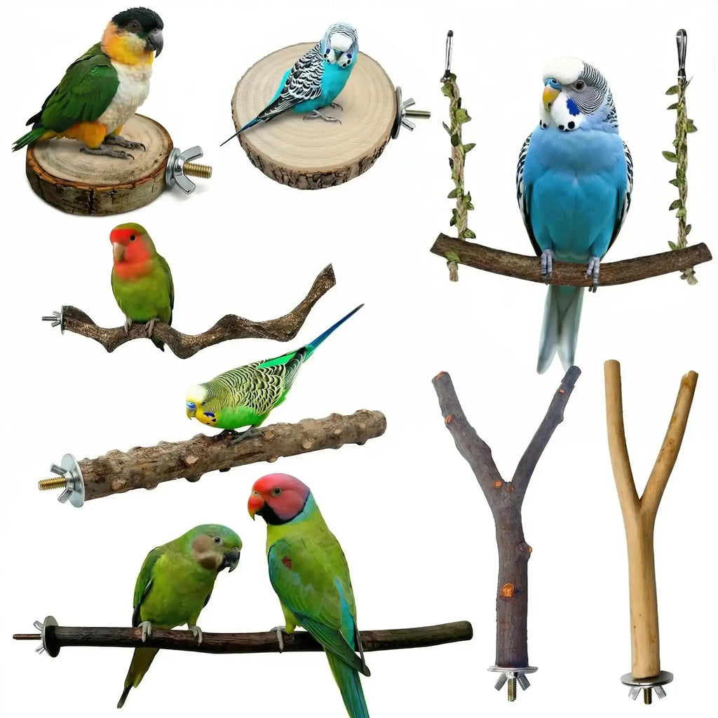 Acvxghe 8PCS Bird Perches for Cage, Natural Wood Stands for Small Parrots by Acvxghe