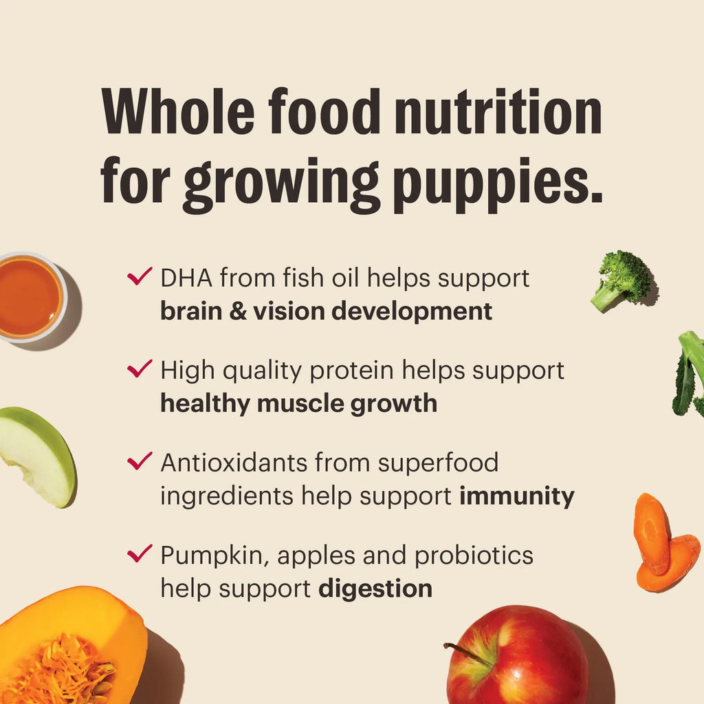 The Honest Kitchen Whole Food Clusters Puppy Whole Grain Chicken Dry Dog Food - FurrBaby Necessities