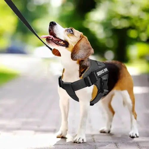 voopet Emotional Support Dog Harness, Professional Service Dog Vest Harness for Small Medium Large Dogs, Reflective Breathable and Adjustable No Pull/Choke ESA Essential Harness by VOOPET