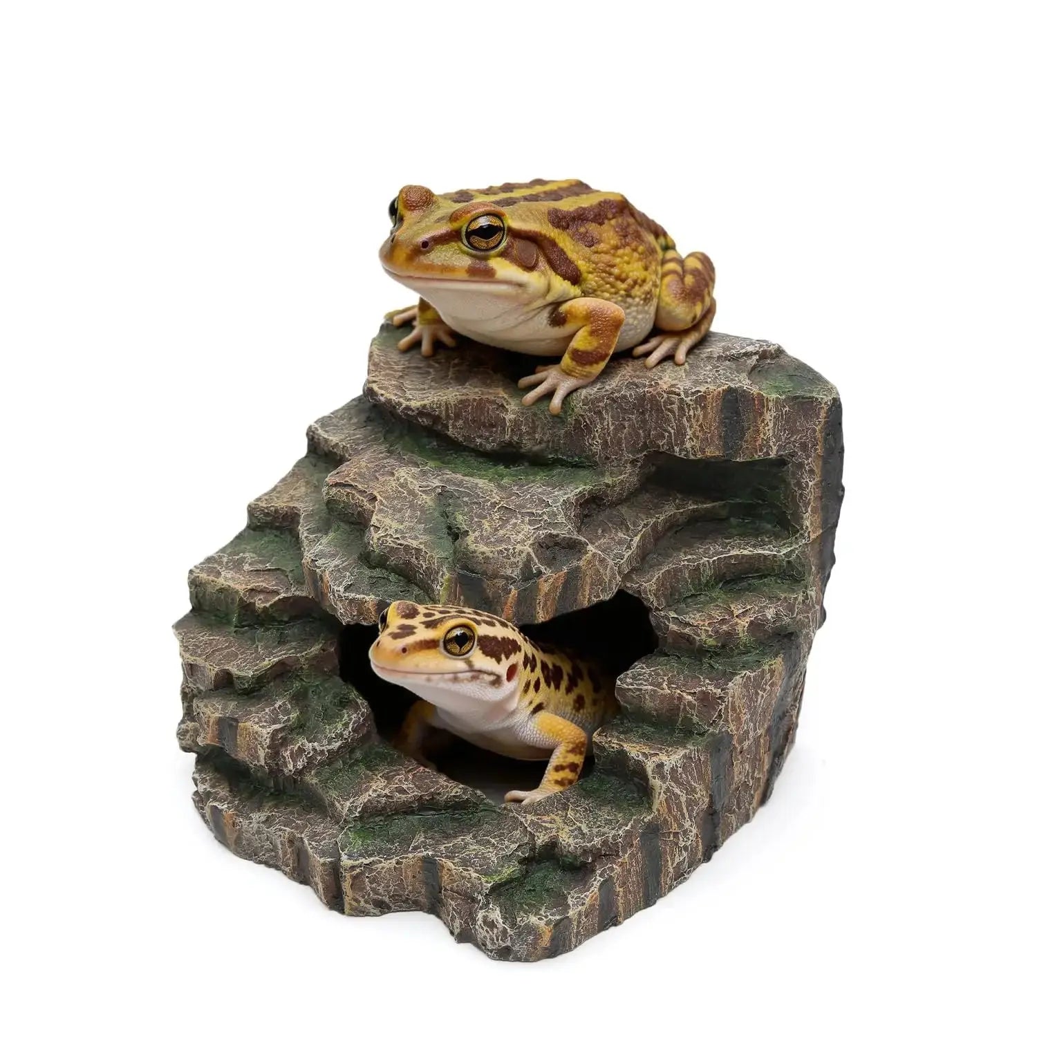 Resin Basking Platform and Reptile Hideout for Terrarium by REPTITRIP