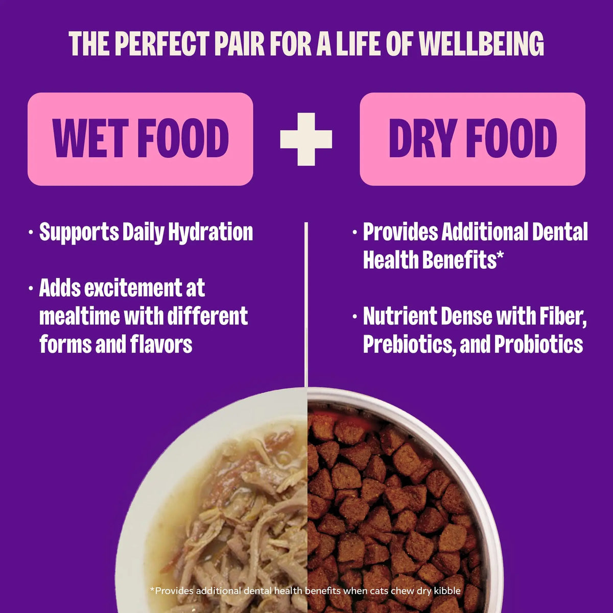 Wellness CORE Hearty Cuts Shredded Chicken & Turkey Recipe