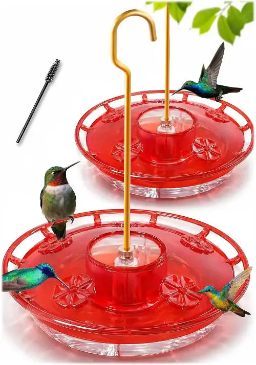 Hummingbird Feeder by eWonLife