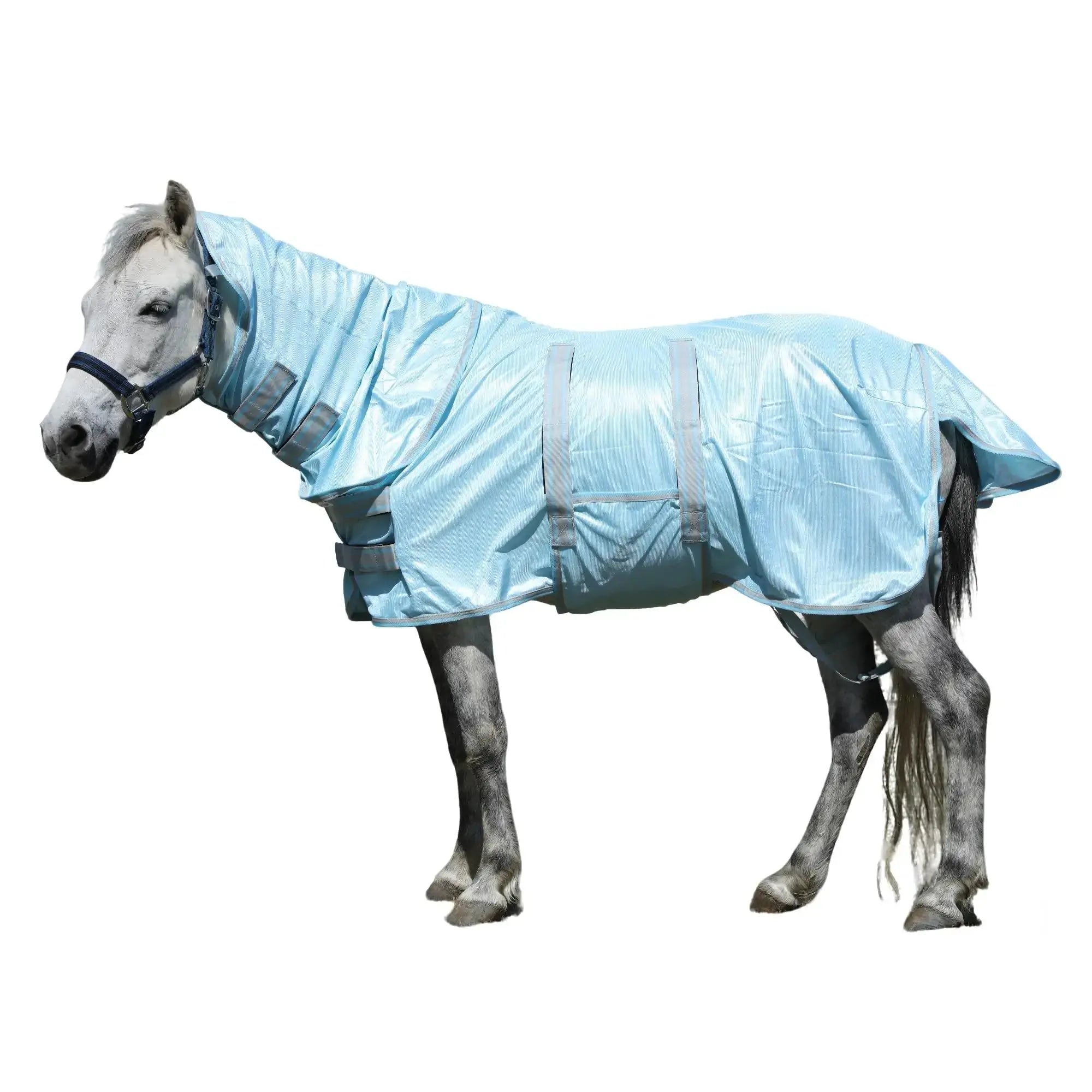 Gallopoff Mini Horse & Pony Mesh Fly Sheet with Neck & Belly Wrap by Gallopoff