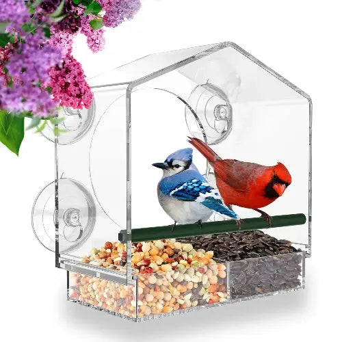 Mrcrafts Window Bird Feeder for Outside with Strong Suction Cups, Fits for Cardinals, Finches, Chickadees etc. by Mrcrafts