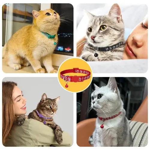 Taglory Reflective Cat Collar Breakaway with Bell, High Visibility Night Strip, Lightweight Adjustable Nylon Collar for Boy Girl Cats, 2 Pack by Taglory