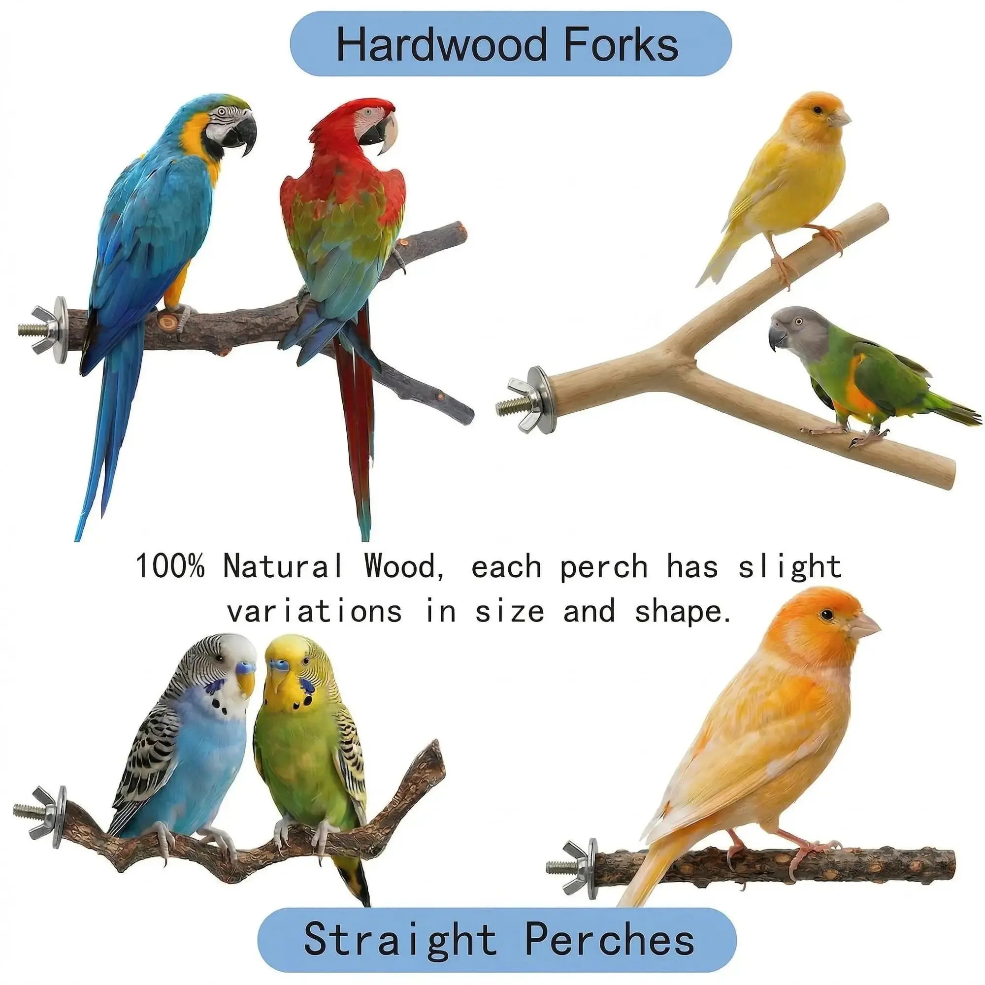 Acvxghe 8PCS Bird Perches for Cage, Natural Wood Stands for Small Parrots by Acvxghe
