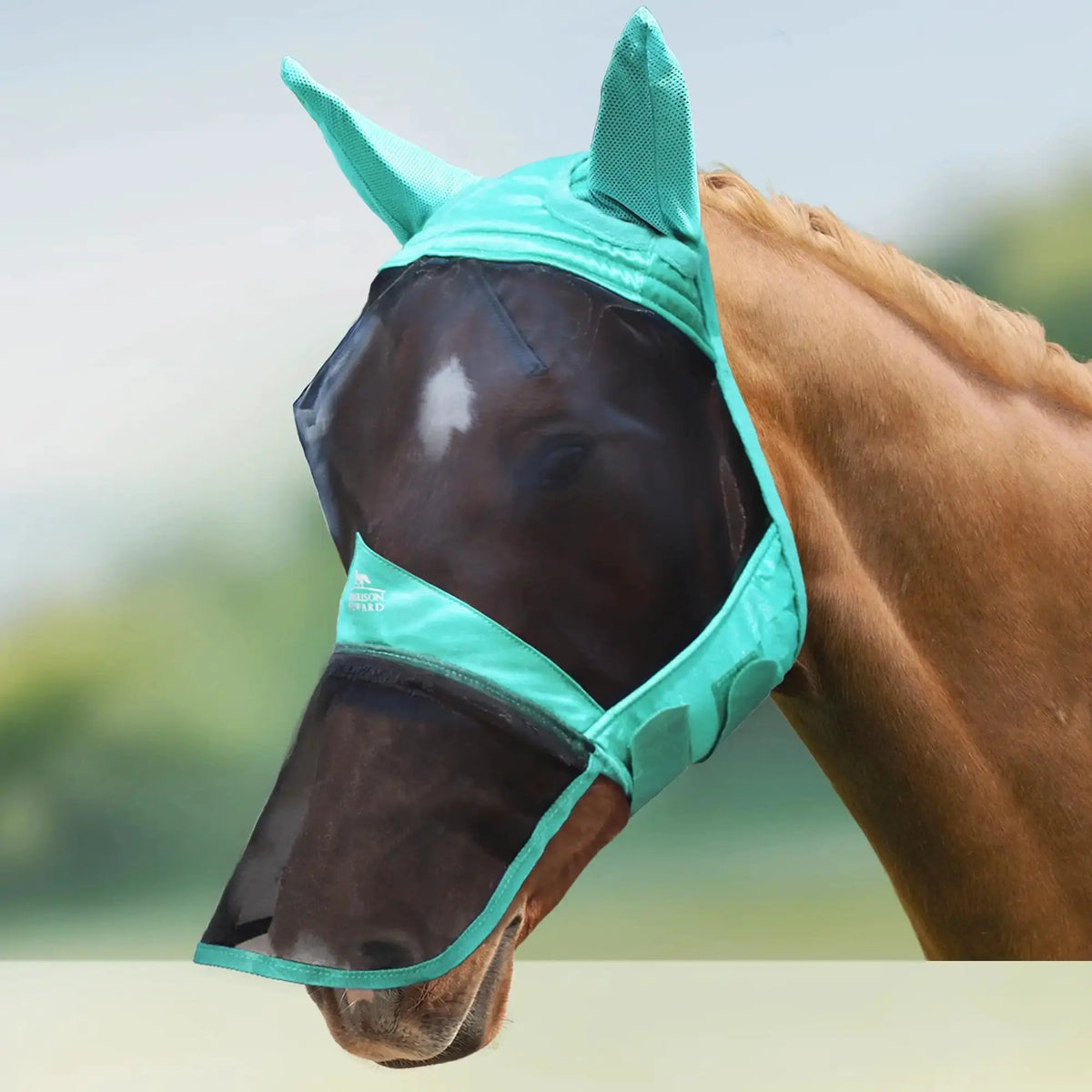 Harrison Howard Pro Luminous Horse Fly Mask Large Eye Space Full Face UV Protection for Horse by Harrison Howard