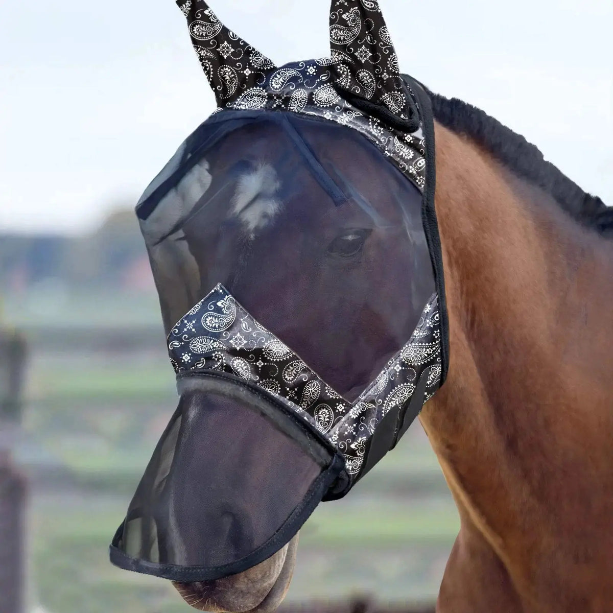 Harrison Howard LumiVista Horse Fly Mask Long Nose with Ears UV Protection for Horse by Harrison Howard