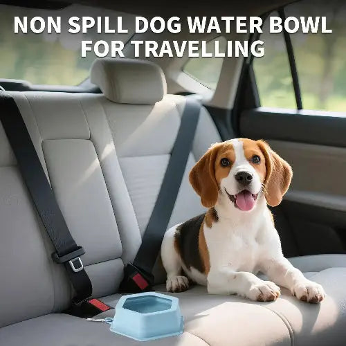 No Splash Dog Travel Bowls for Cars, Spill Proof Collapsible Dogs Water and Food Feeder Dispenser Integrated Molding Portable Cat Dish for Pet Vehicle Road Trips by SLSON