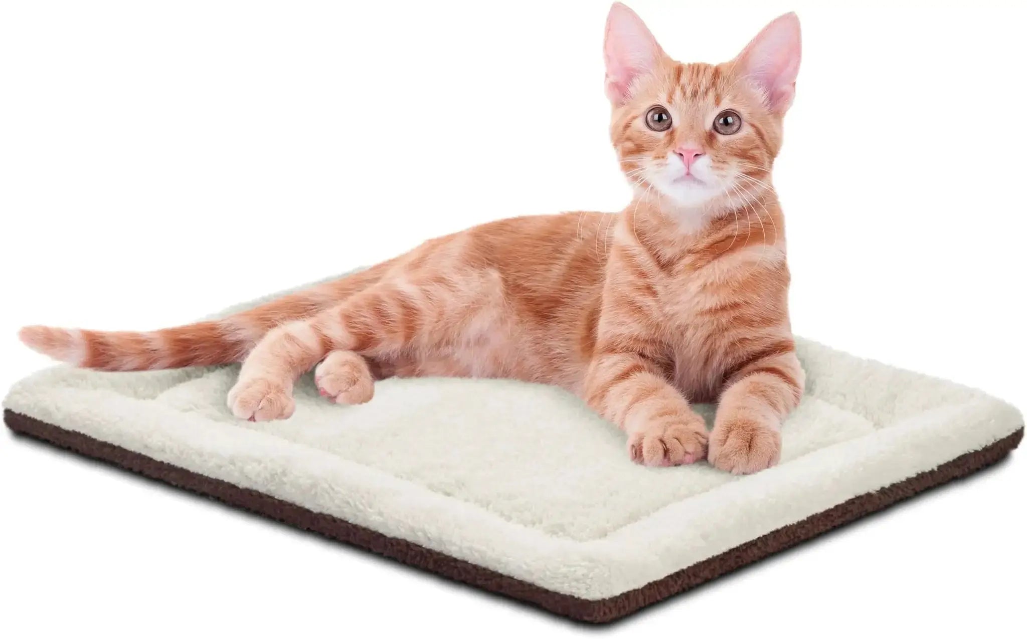 K&H PET Products Self-Warming Cat by K&H Pet Products
