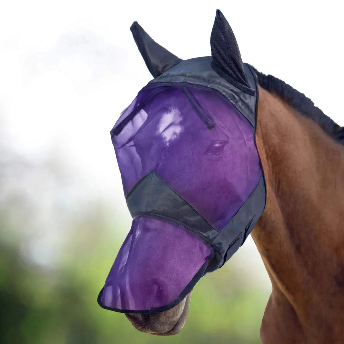 Harrison Howard CareMaster Horse Fly Mask Long Nose with Ears Full Face by Harrison Howard