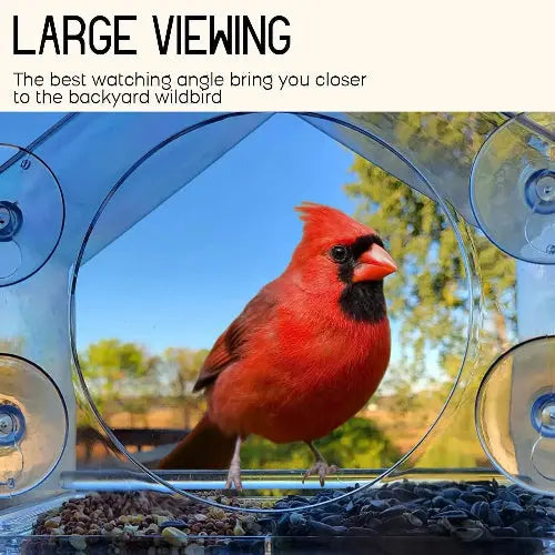 Mrcrafts Window Bird Feeder for Outside with Strong Suction Cups, Fits for Cardinals, Finches, Chickadees etc. by Mrcrafts