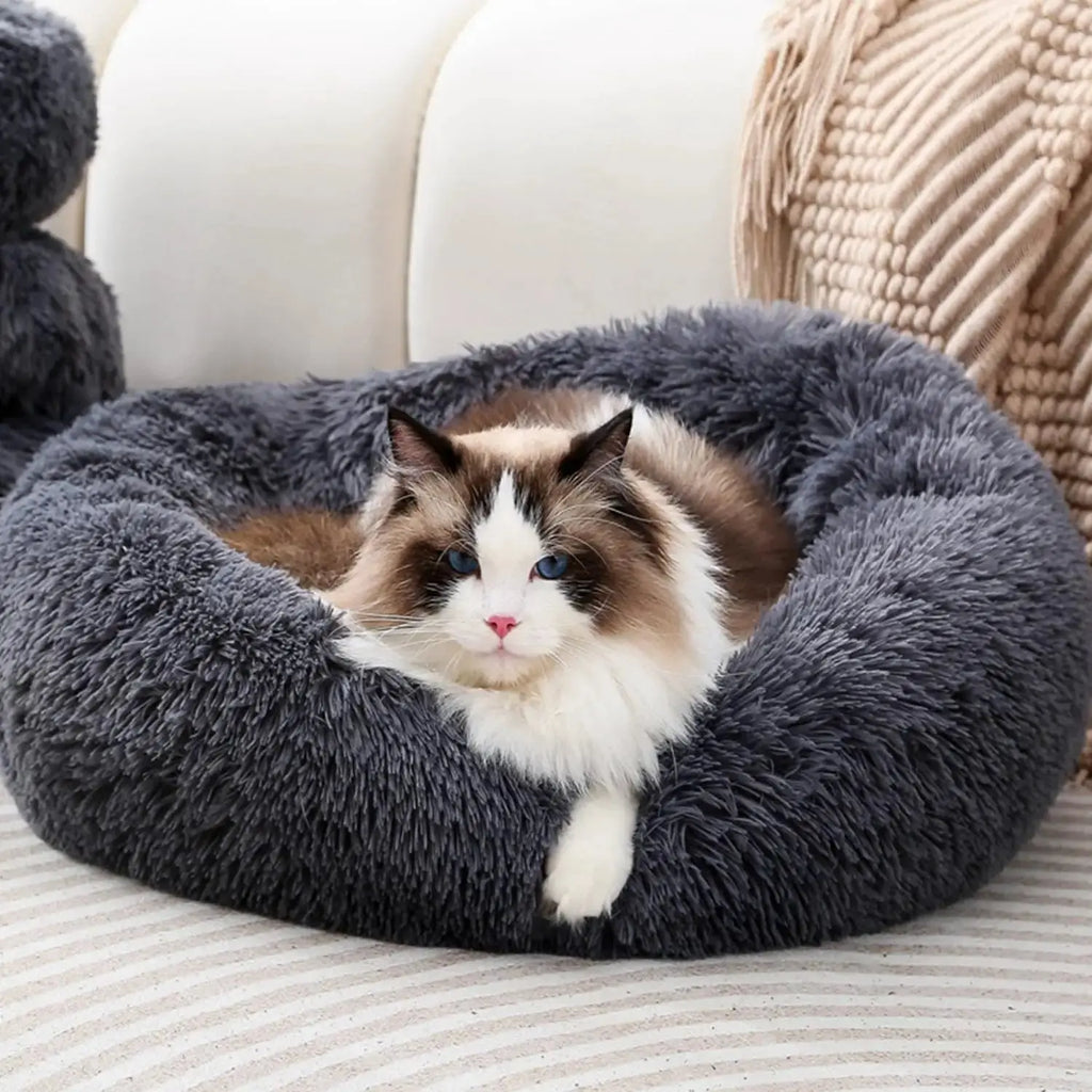 Dog Bed Cat Bed Cat Cushion Dount Bed by Finenohoory