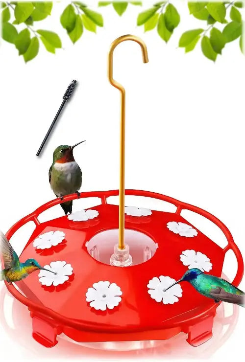 Hummingbird Feeder by eWonLife