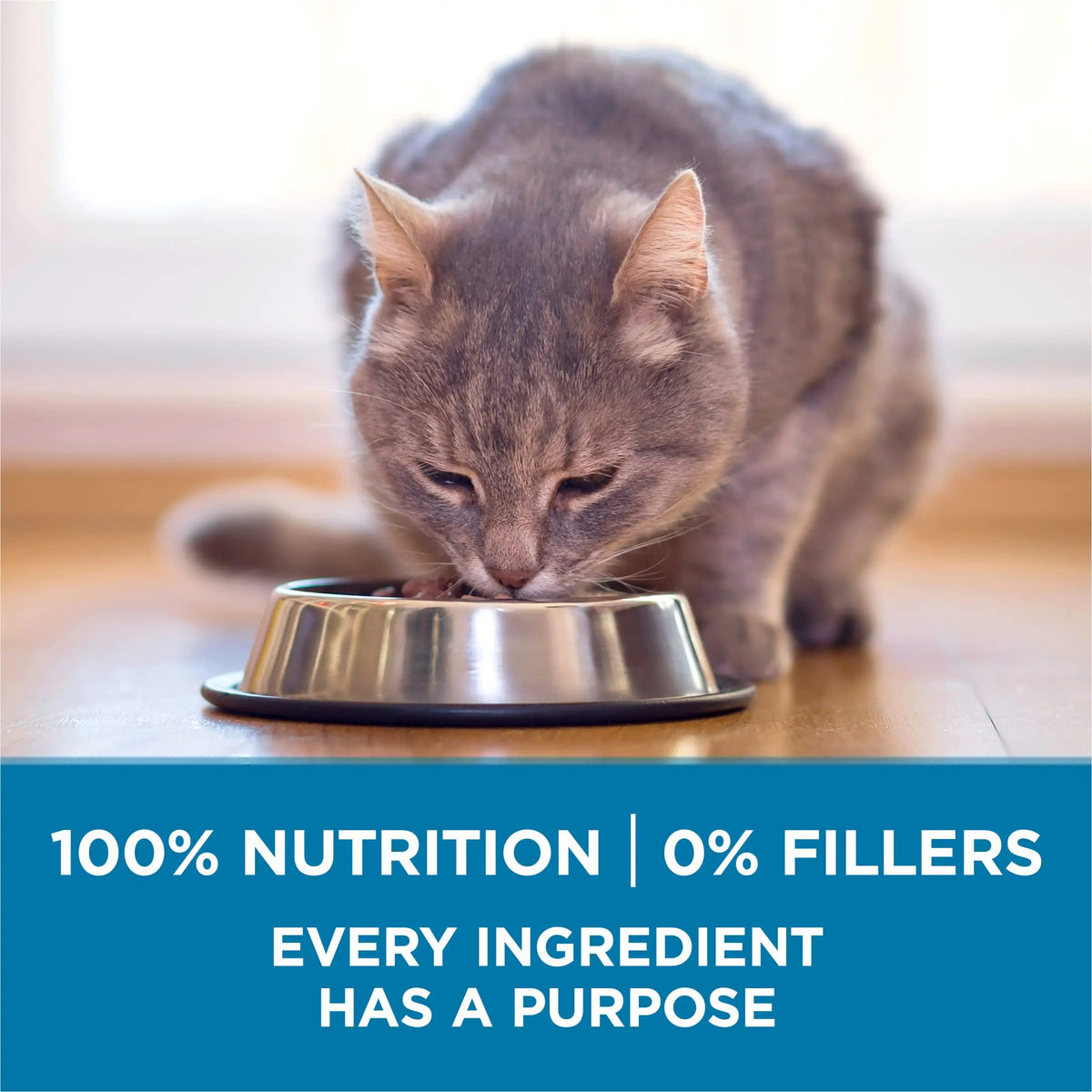 Purina ONE High Protein, Natural Senior Dry Cat Food, Indoor Advantage Senior+ - 16 lb. Bag Purina ONE