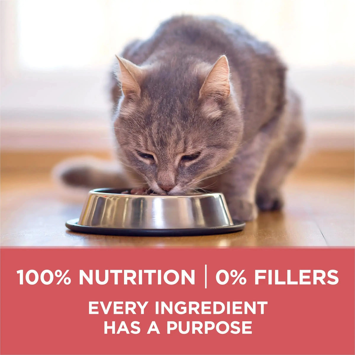 Purina ONE Natural Low Fat, Indoor Dry Weight Control High Protein Cat Food Plus Indoor Advantage with Real Salmon - 16 lb. Bag - FurrBaby Necessities