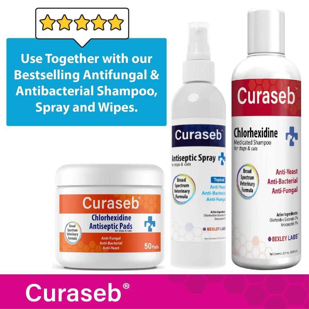 Curaseb Hydrocortisone Spray for Dogs & Cats – Instant Itch Relief for Hot Spots, Paw Licking, Rashes, Allergies, Bites, Dry Skin – with Soothing Aloe, 4oz by Curaseb