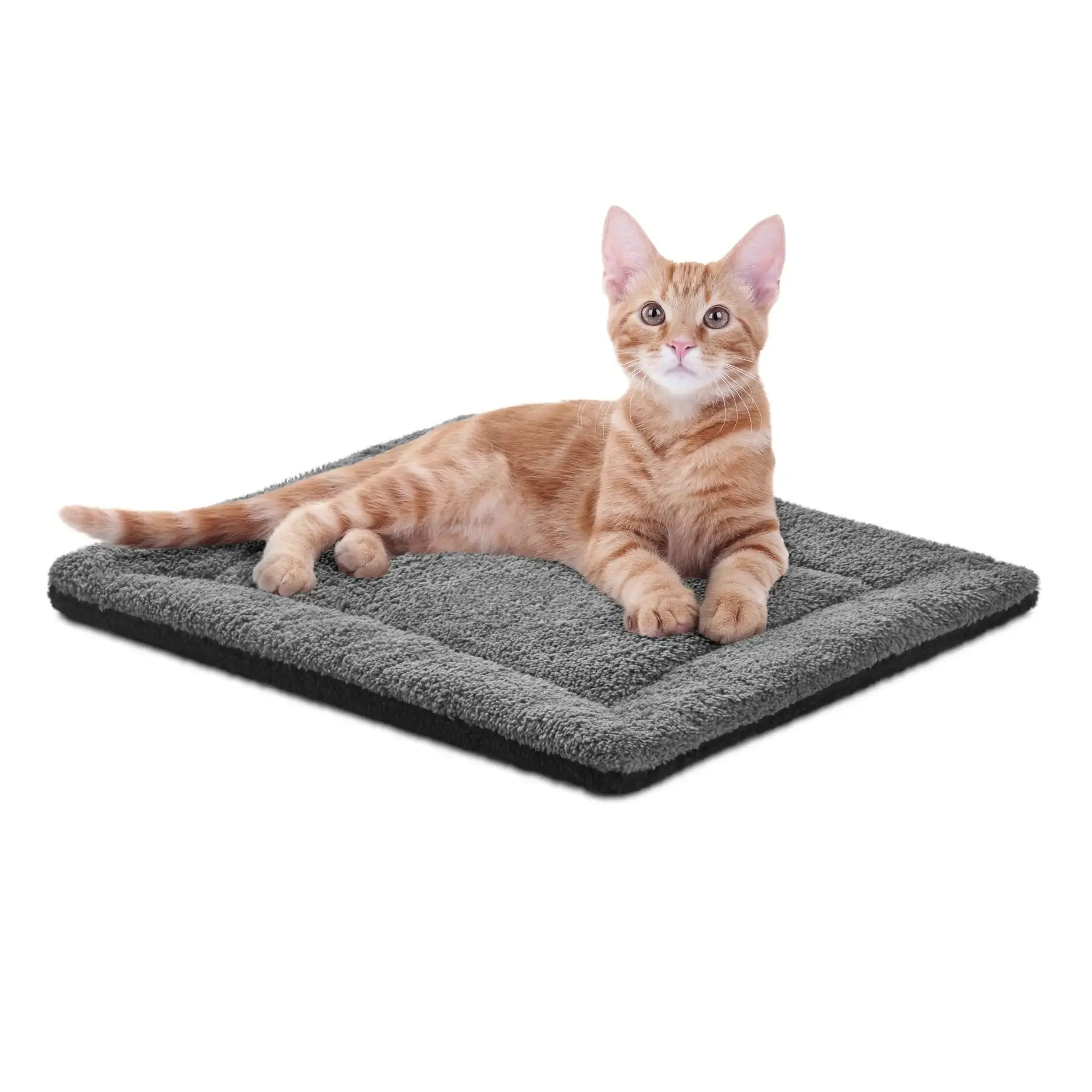 K&H PET Products Self-Warming Cat by K&H Pet Products