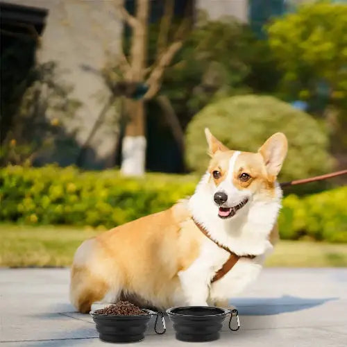 SLSON Dog Bowls Pet Collapsible Bowl with Cover Lids,2 Pack Dog Travel Bowls Portable Foldable Cat Water Dish Bowl for Pets Walking Parking Camping by SLSON