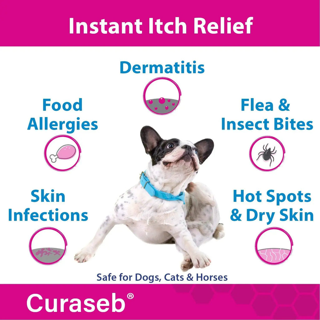 Curaseb Hydrocortisone Spray for Dogs & Cats – Instant Itch Relief for Hot Spots, Paw Licking, Rashes, Allergies, Bites, Dry Skin – with Soothing Aloe, 4oz by Curaseb