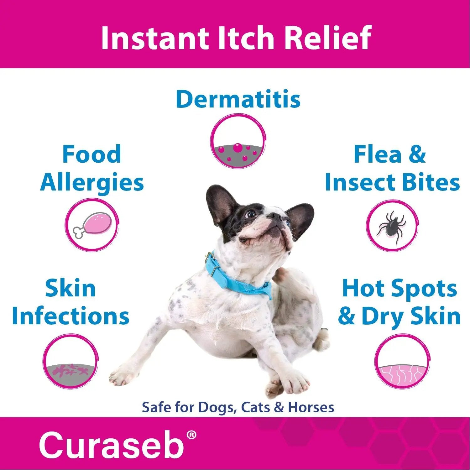 Curaseb Hydrocortisone Spray for Dogs & Cats – Instant Itch Relief for Hot Spots, Paw Licking, Rashes, Allergies, Bites, Dry Skin – with Soothing Aloe, 4oz by Curaseb