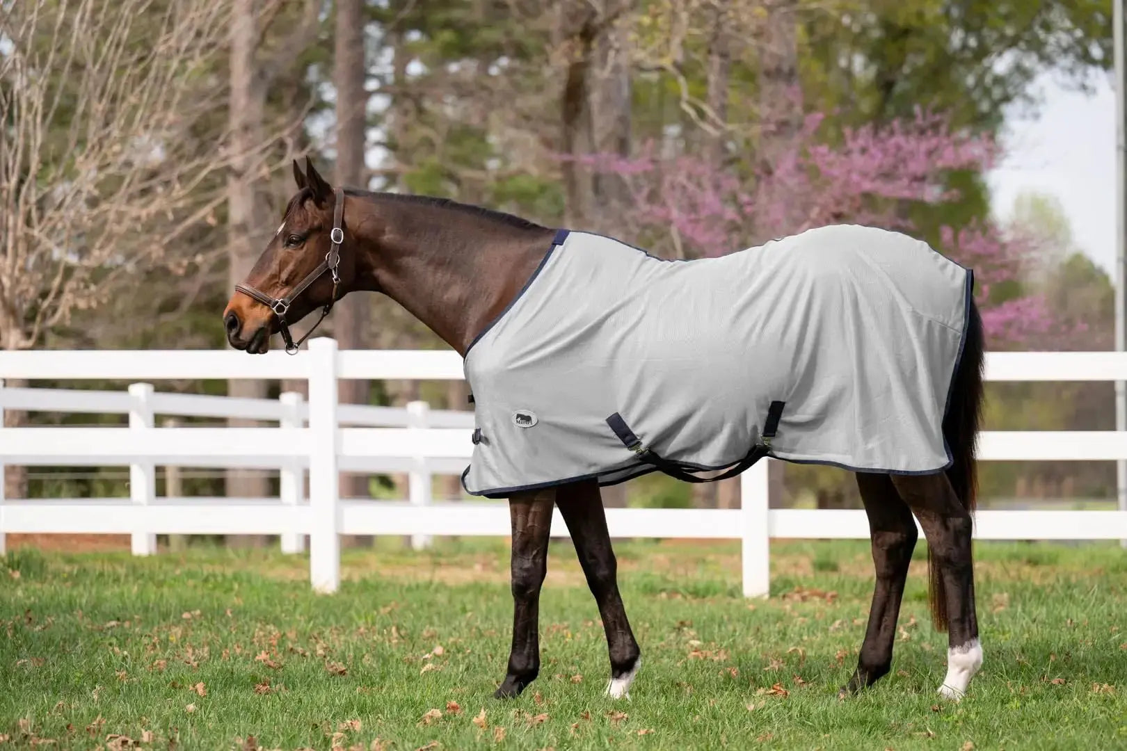 Miller's Fly Sheet for Horses by TuffRider